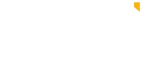 ESTO Group